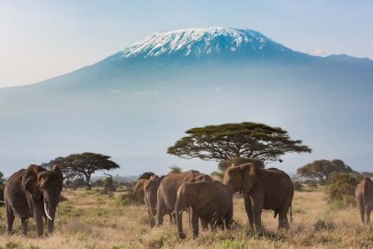 Amboseli-National-Park-Kenyasa