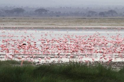 amboseli-kenya